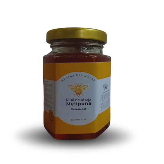 Miel de Abeja Melipona Sagrada - 100% Pura y Artesanal 120ml