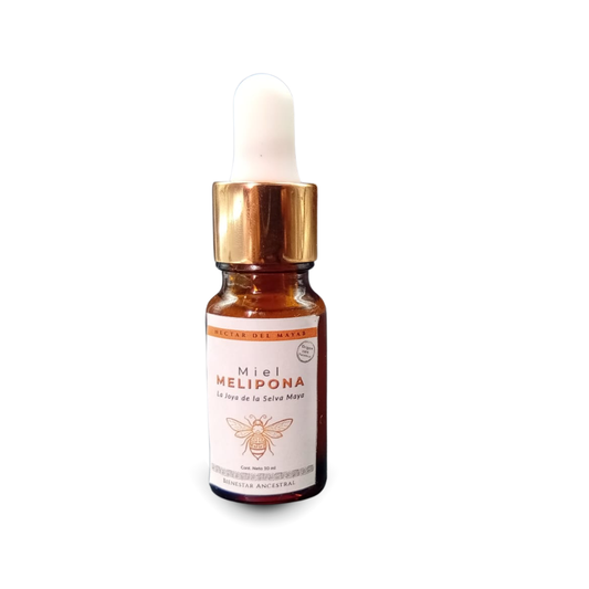 Gotas de Miel Melipona Sagrada (10ml) - Ocular de la Herencia Maya