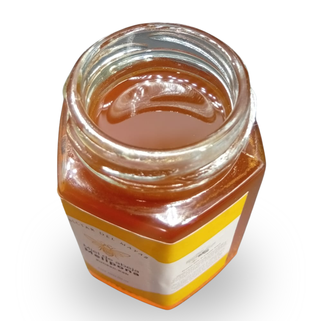 Miel de Abeja Melipona - 100% Pura y Artesanal 120ml