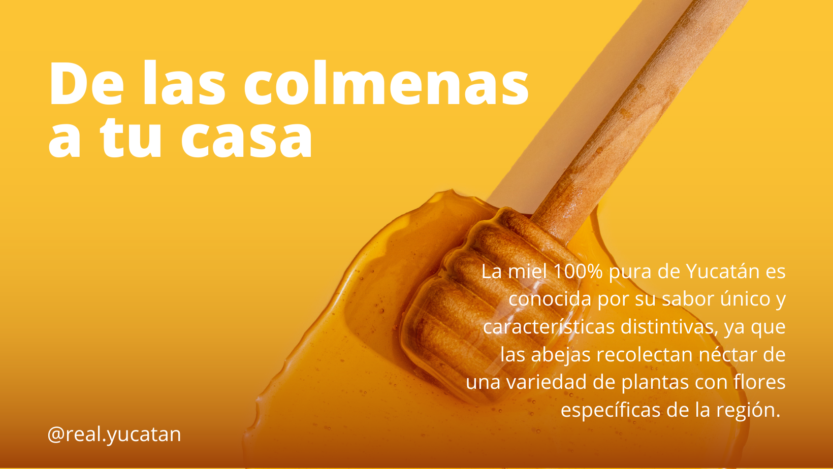 Cargar video: Miel Real Yucatán