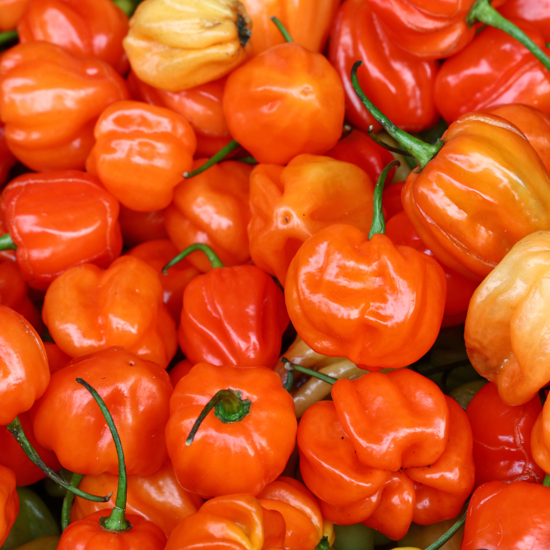 Salsa Picante Chile Habanero | El Yucateco
